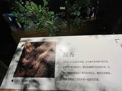 -香市公园-中国沉香文化博物馆