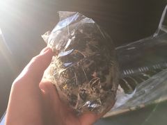 -金家紫菜饭(老客运站店)