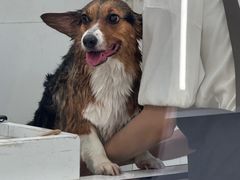 -comecome来吧宠物(奥克斯中心店)