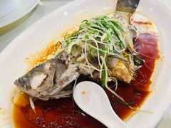 清蒸石斑鱼-大东海海鲜酒楼(渔人码头总店)