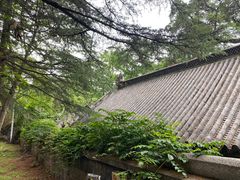 -青岛崂山太清宫