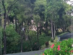 -深圳国际园林花卉博览园