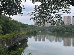 -重庆彩云湖湿地公园