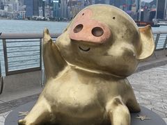 -星光大道