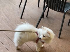 -巴倒烫陆派火锅山庄(南山总店)