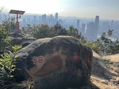 -南山植物园