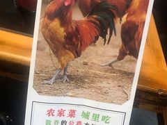 -锅来乐地锅鸡(安亭店)