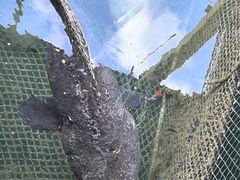 -蓝湾碧波·老字号·疍家非遗海上餐厅