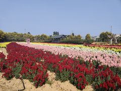 -广东花都香草世界旅游度假区