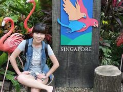 -新加坡飞禽公园