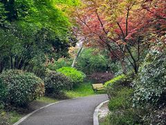 -桃花岛景观公园