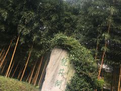 -十八棵（老龙井）御茶园(老龙井店)