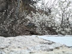 -崂山九水游览区