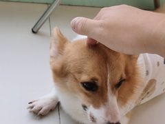 -怪兽屋·羊驼·猫咖·狗咖(俊华广场店)