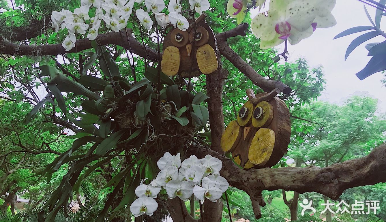 周末放假肯定要去逛公园呀