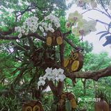 周末放假肯定要去逛公园呀