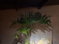 -陶享时光西餐·下午茶(信河街店)