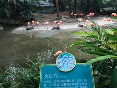 -东部华侨城