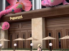 -帕帕拉兹宠物(亚洲旗舰店)