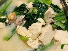 生蚝小白菜炖豆腐-双海酒店·海鲜家常菜(南戴河店)
