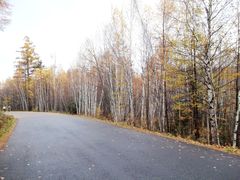 -五营红松林海景区