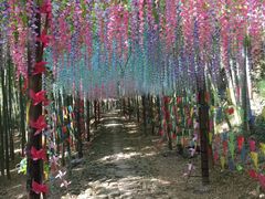 -众神白水涧景区