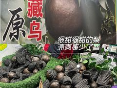 -中国农业博物馆