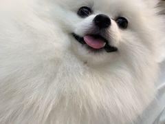 -联合动物医院(光谷诊疗中心)