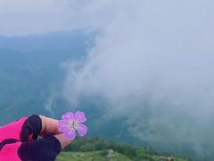 -灵山