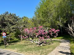 -钓鱼台国宾馆
