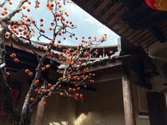 -初溪土楼群