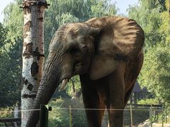 -石家庄市动物园