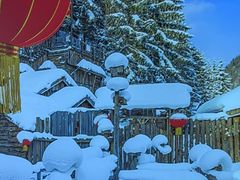 -北大荒.正宗东北菜(蓉花路店)