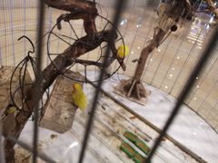 -耀莱成龙国际影城(万寿路店)