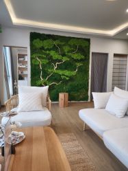 -POCO宝珂丽科技美肤