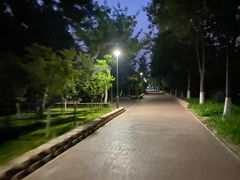 -大兴滨河森林公园