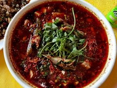 水煮岷江河黄辣丁-胖大姐黄辣丁鱼庄(新津店)