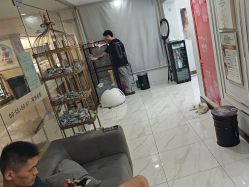 -镁连社·美联社
