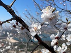 -北京十三陵国家森林公园蟒山景区