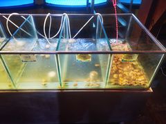 水产区-三亚海韵度假酒店·渔人码头海鲜火锅BBQ自助餐厅·落日吧