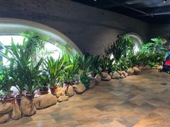 -云境岁月(象湖店)