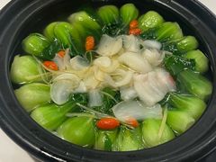 泉水百合青菜-圆苑(金茂店)