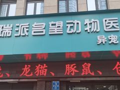 -瑞派名望24h动物医院异宠专科·猫专科·骨科·重症监护分院