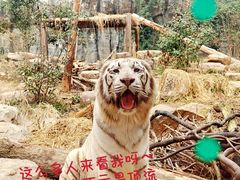 -红山森林动物园