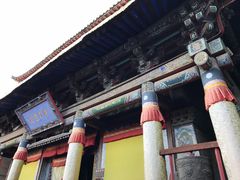 -塔尔寺菩提树