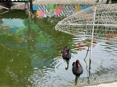 -北京鹿世界主题园