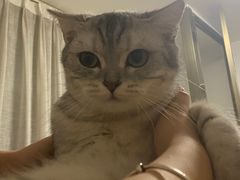 -爱诺耐芙动物医院(万博店)