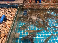 -一方渔歌蒸汽海鲜自助(文化路万达广场店)