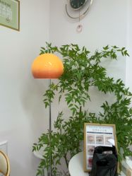 -变美丽半永久定妆连锁·纹眉·机器野生眉