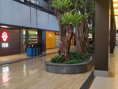 -麦当劳(电白服务区店)